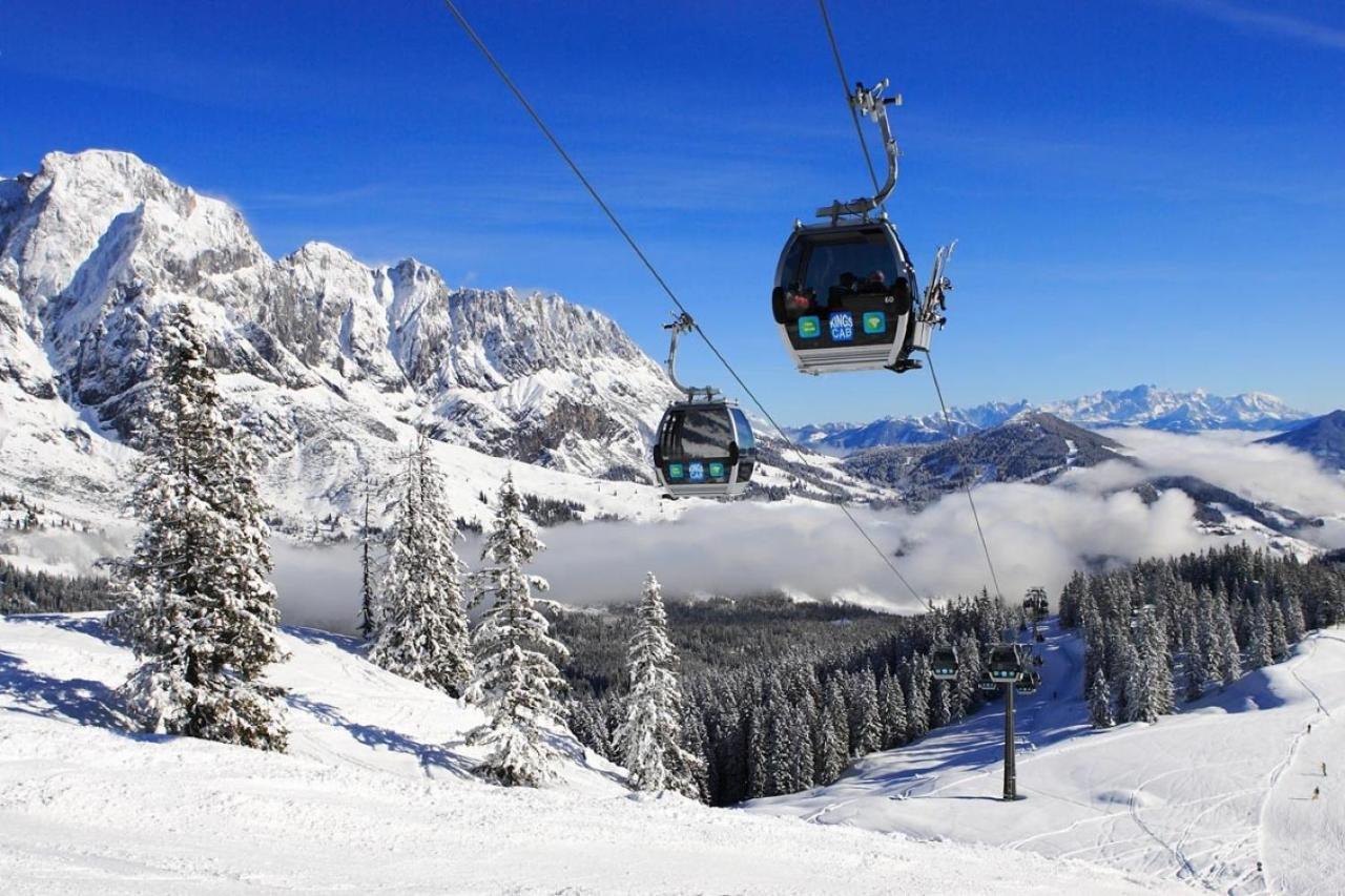 Haus Schneeberg Mit Hochkoenig Card Apartman Mühlbach am Hochkönig Kültér fotó